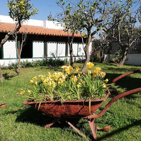 Casa Rural Limón Y Sol Sauzal Exterior foto