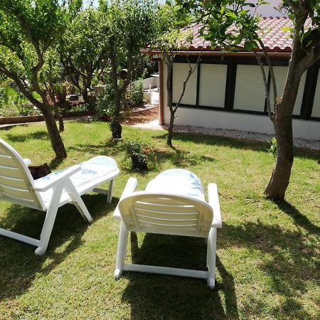 Casa Rural Limón Y Sol Sauzal Exterior foto