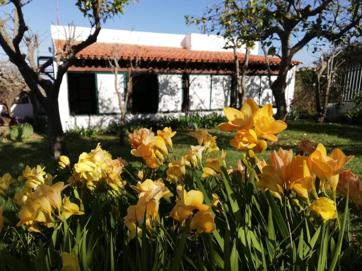 Casa Rural Limón Y Sol Sauzal Exterior foto