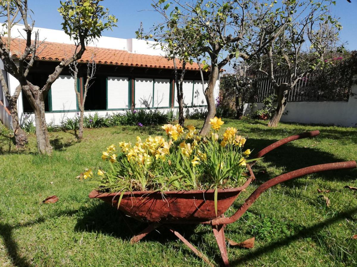 Casa Rural Limón Y Sol Sauzal Exterior foto
