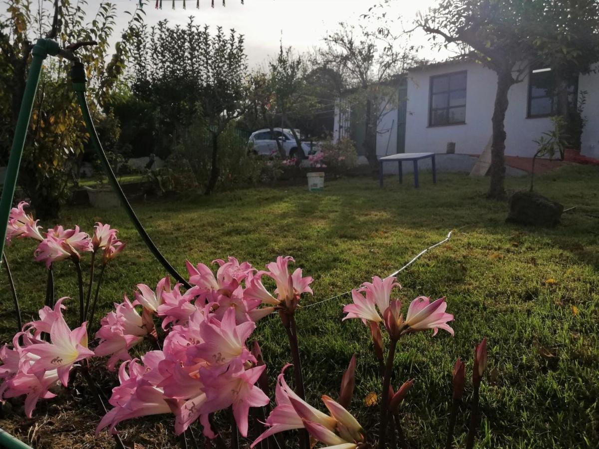 Casa Rural Limón Y Sol Sauzal Exterior foto