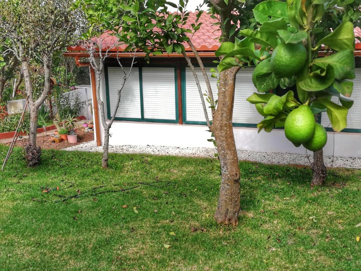 Casa Rural Limón Y Sol Sauzal Exterior foto